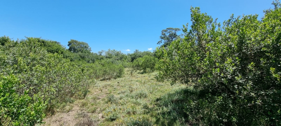  Bedroom Property for Sale in Knysna Rural Western Cape